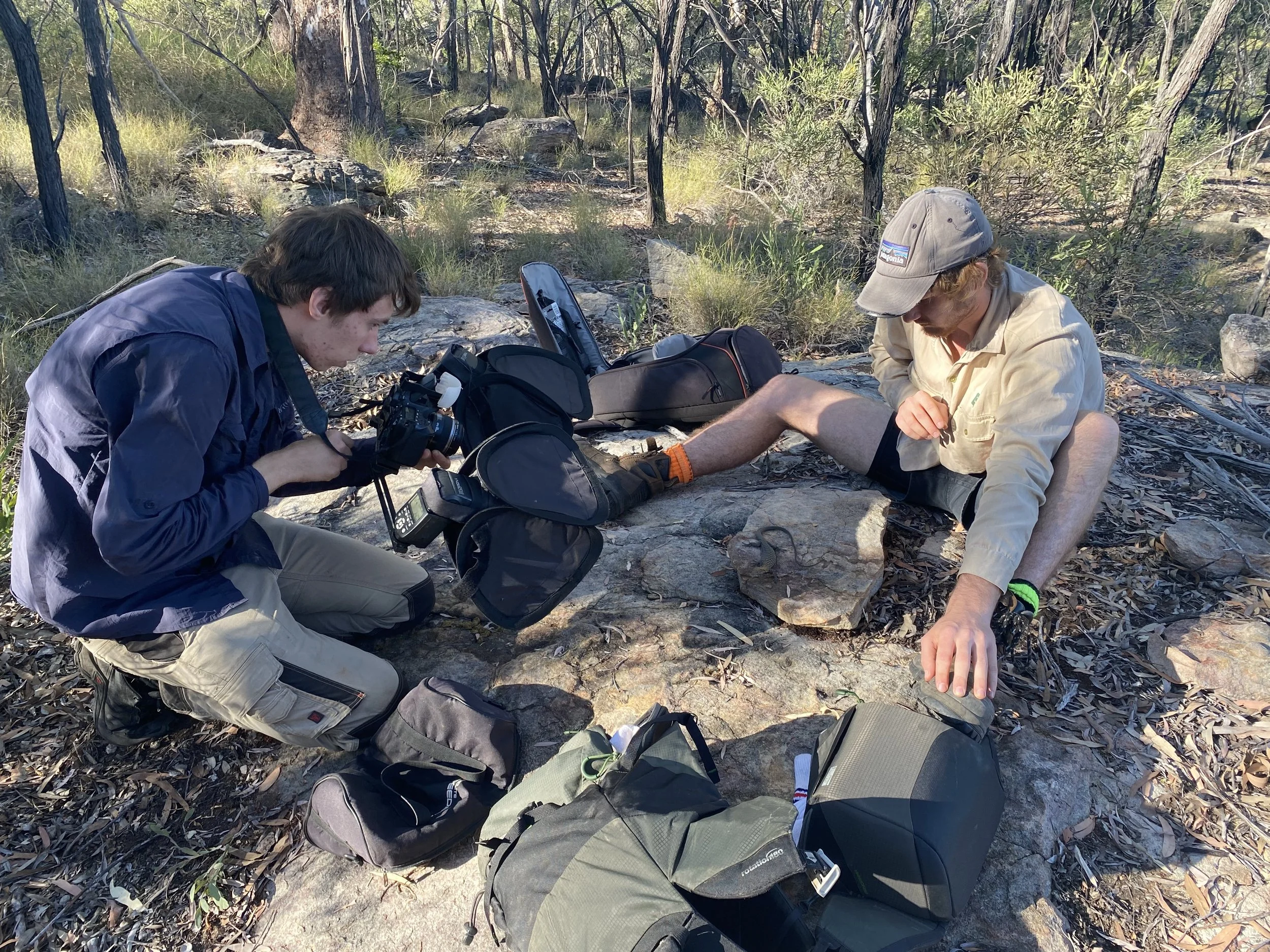 Justin poised to provide assistance while Nick grabs a photo. Photographing goannas is painful.